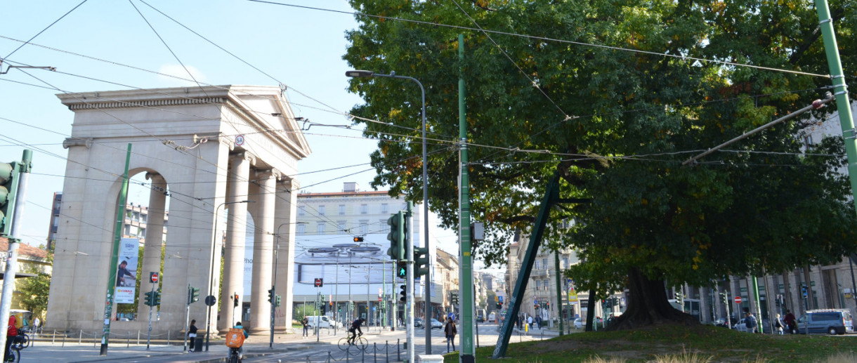 The Red Oak of Porta Ticinese