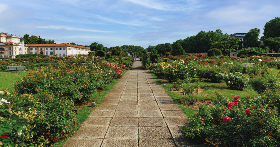 Roseto - Serrone of Villa Reale - Monza