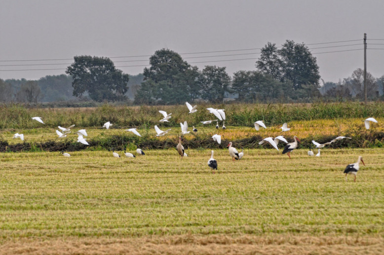 Parco Naturale Valpometto 