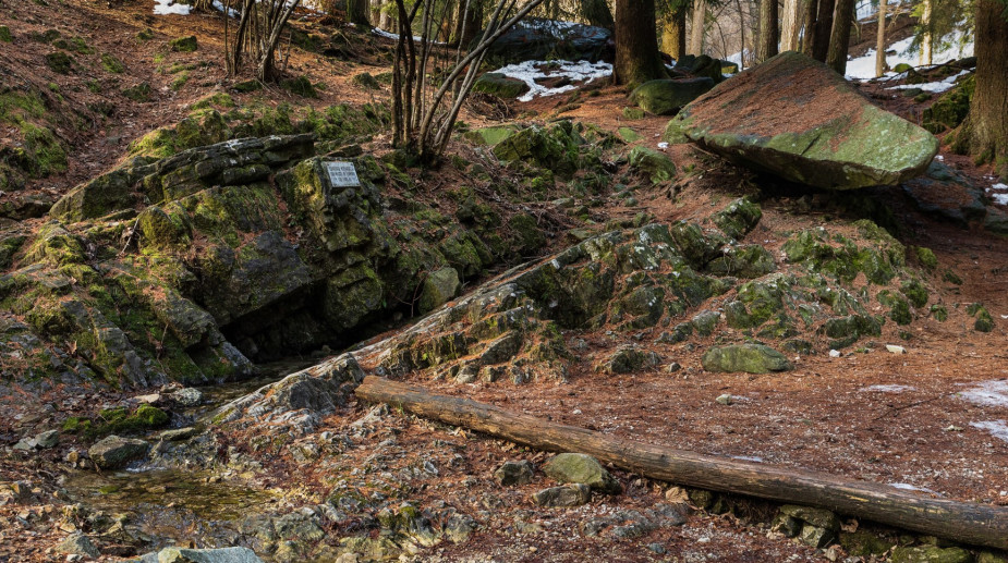 Il Lambro sgorga dalla sorgente nel sottobosco, una targa identifica la sorgente