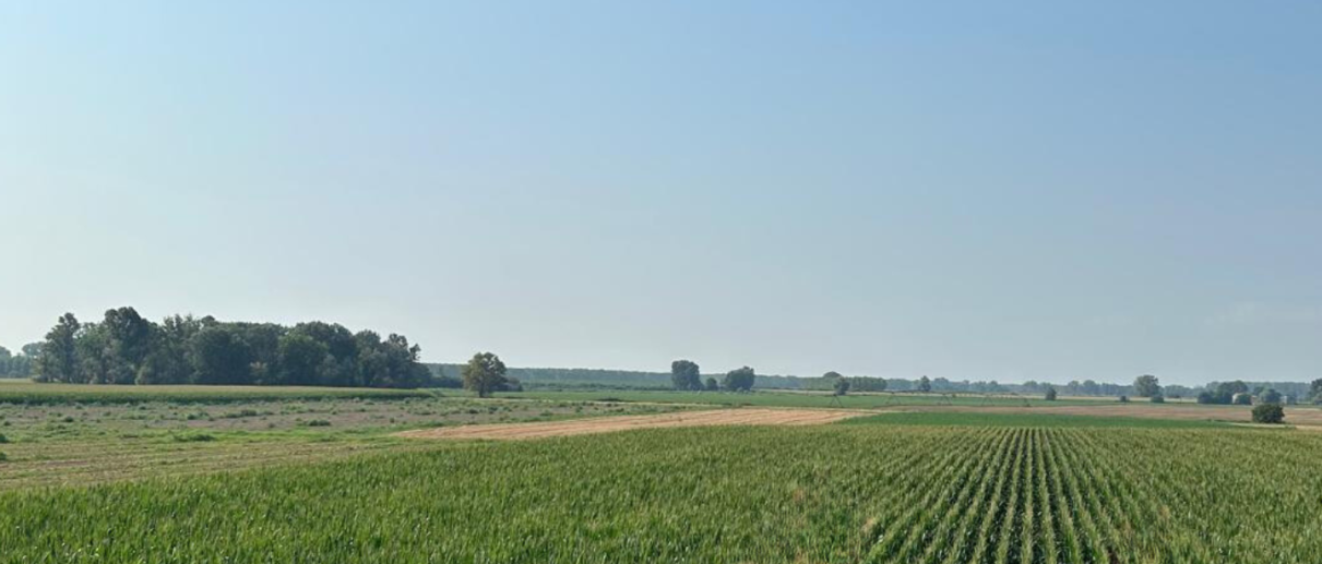 Lanca di Gussola
