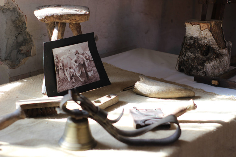 Museo della Transumanza