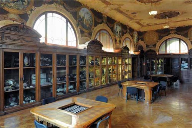 Museo delle scienze Casartelli