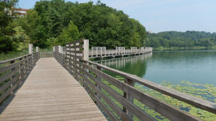 Passerella in legno sul lago di Comabbio, con alberi sullo sfondo in una giornata di sole.