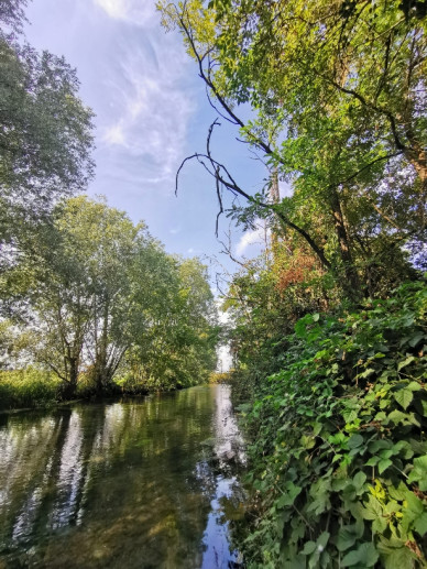 Il Parco del fiume Tormo, il Canale Vacchelli e le risorgive