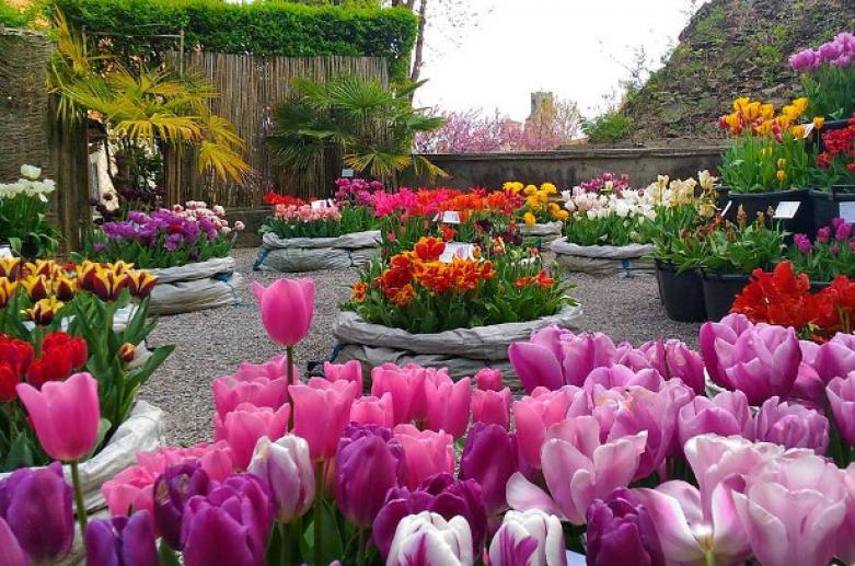 Jardin botanique « Lorenzo Rota » de Bergame