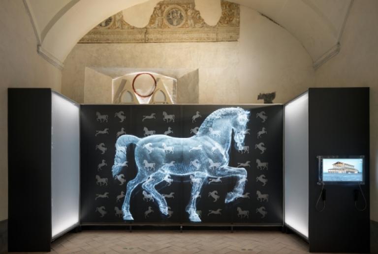 Leonardiana Leonardiana, Musei Pavia