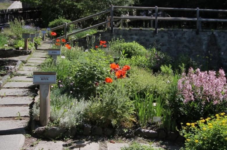 Jardin Botanique Alpin « Rezia » – Bormio