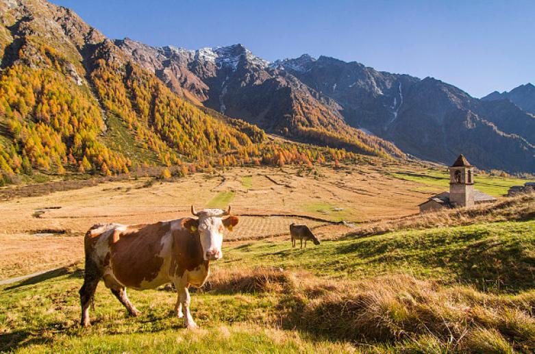 Val di Rezzalo