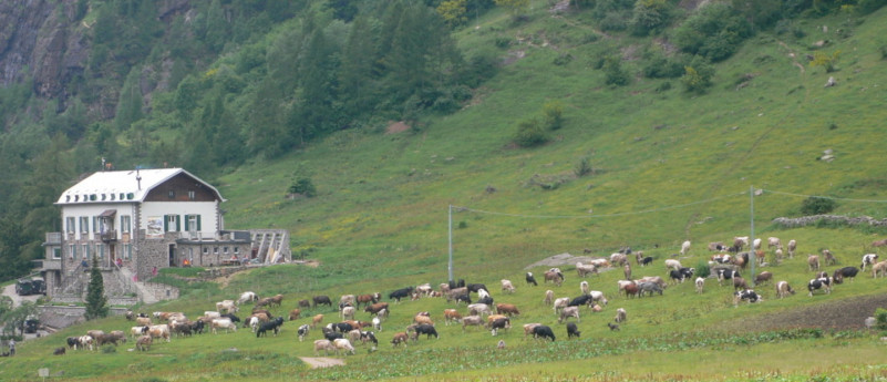 RIFUGIO TAVECCHIA