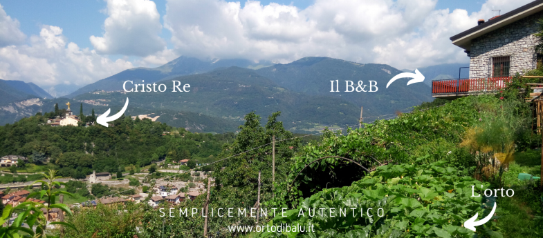 L'ORTO DI BALU'