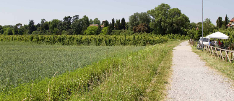 SOCIETÀ AGRICOLA FIOR DI FRUTTA