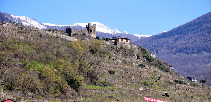 Valtellina DOCG Valtellina DOCG
