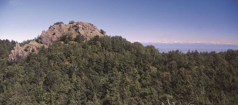 Visita guidata al Sic Sassi Neri Pietra Corva Visita guidata al Sic Sassi Neri Pietra Corva
