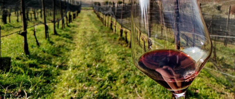 Dalla botte al vino Dalla botte al vino