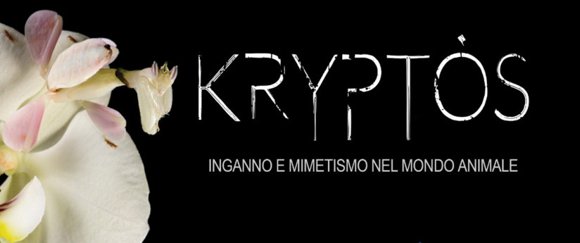 Kriptos Kriptos