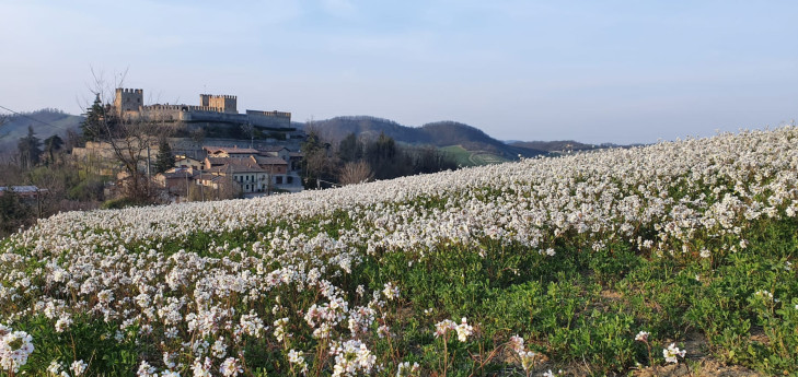 La camminata  delle sorgenti a Montesegale