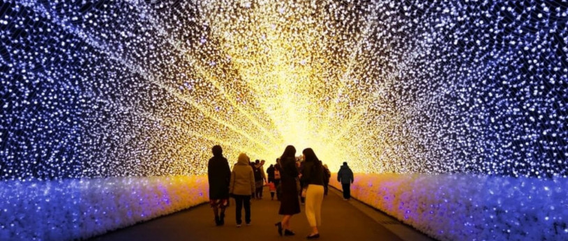 Trame di luce