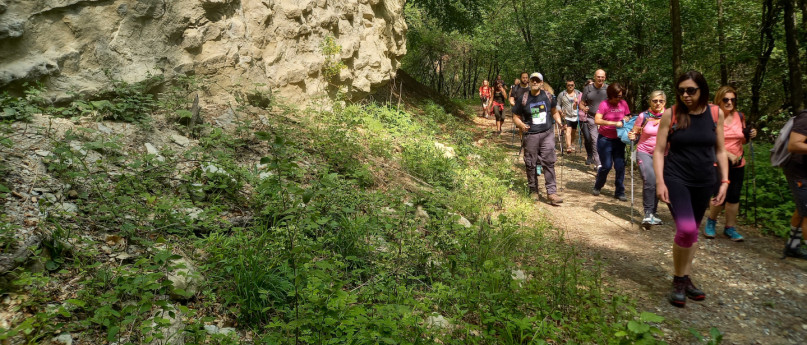 Il cammino delle carbonaie