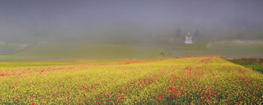 Sguardi: Dottini - Morleo - Rubes