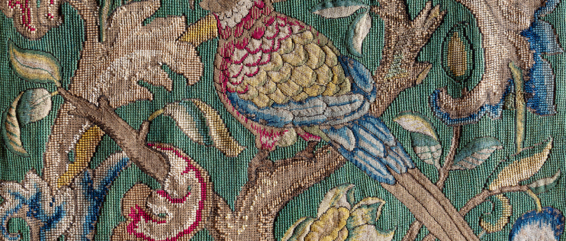 Natura in punta d'ago