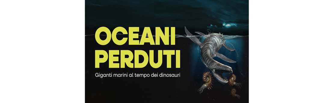 Licenza: CC0 | Crediti: CC0