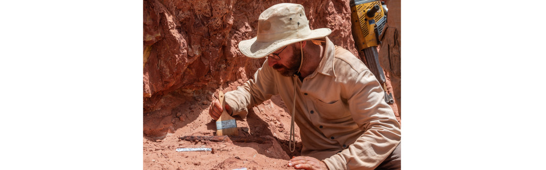 Licenza: CC0 | Crediti: CC0