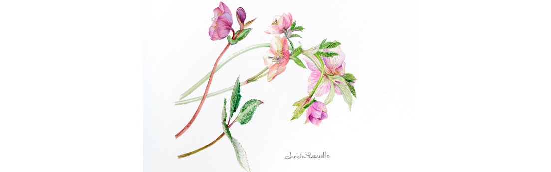 Licenza: CC0 | Crediti: CC0