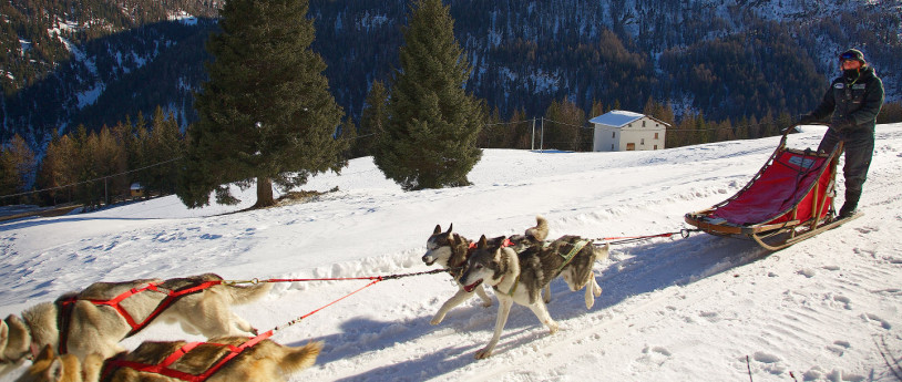 Sleedog in Valtellina