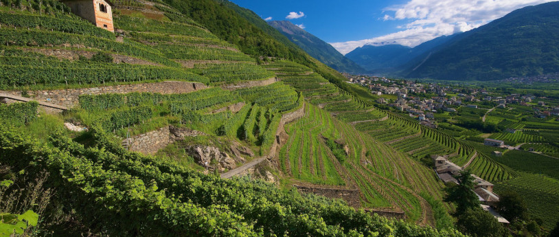 10 idee per visitare la Valtellina