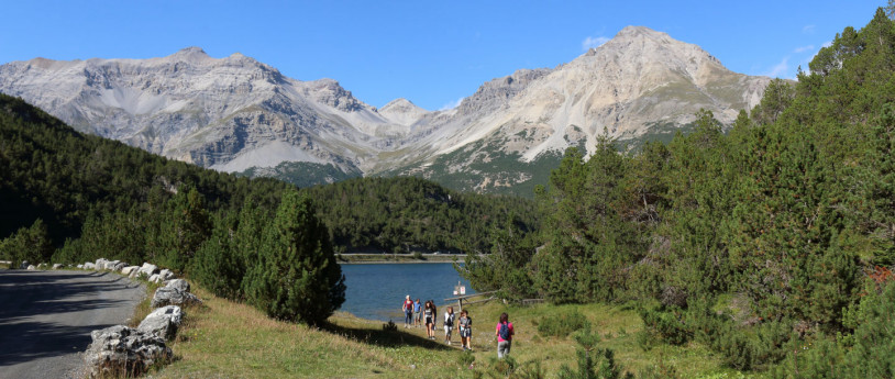 Il parco dello Stelvio, Bormio e la Valdidentro