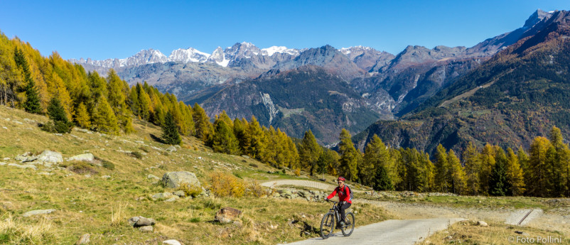 MTB-Torre S. Maria, Alpe Arcoglio inferiore e Alpe Piasci