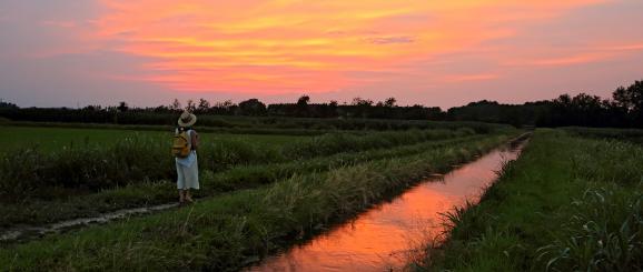 The via Francigena