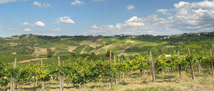 Non solo vendemmia in Lombardia Non solo vendemmia in Lombardia