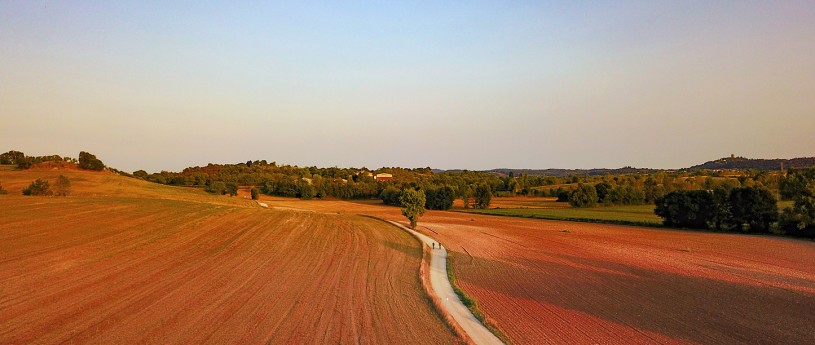 Insider Mantova - Castiglione