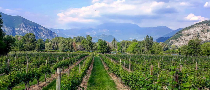 Un viaggio nella bassa bresciana tra campi e natura ancora incontaminata