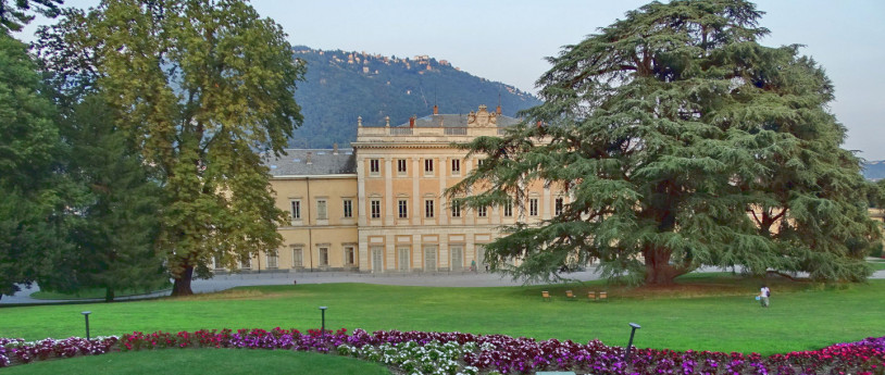 Alberi monumentali in Lombardia