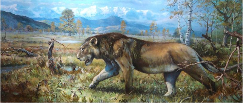 Il leone di San Daniele Po Il leone di San Daniele Po