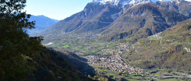 I 10 più spettacolari alberi monumentali in Provincia di Brescia.