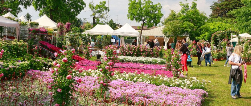 Mercati in fiore, a maggio in Lombardia - franciacortainfiore.it