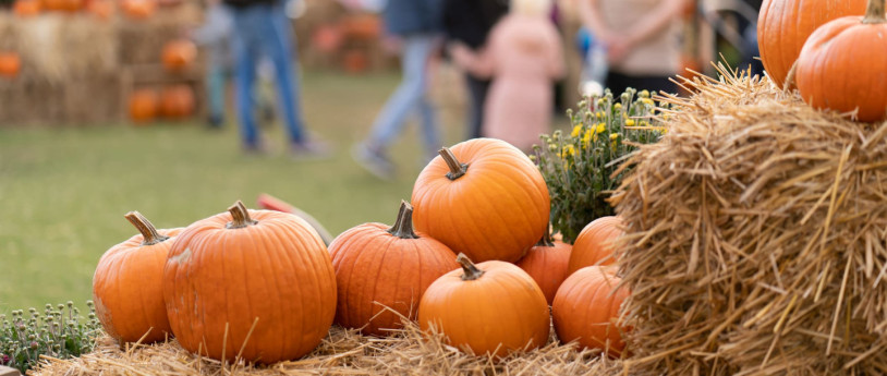 Events in Lombardy in October 2025 - inLOMBARDIA