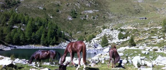 A cavallo in Lombardia