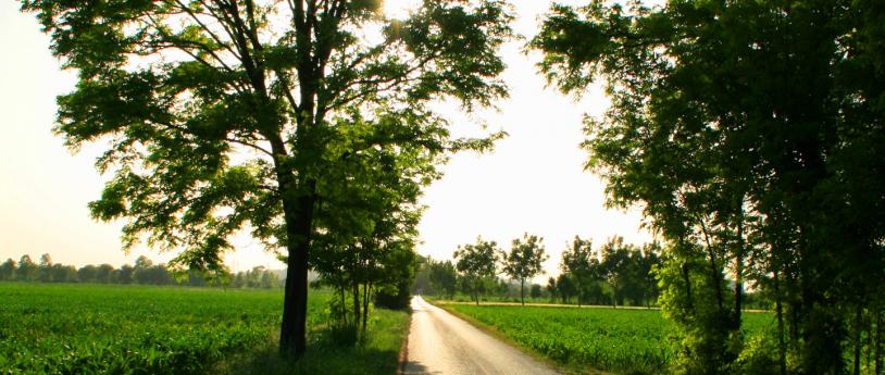 La ciclabile dei fontanili