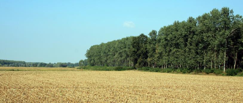 Nelle Terre tra Oglio e Po