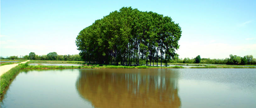 Il giro della Lomellina