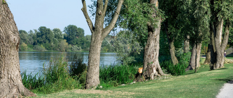 Con le due ruote tra Mantova e il Mincio