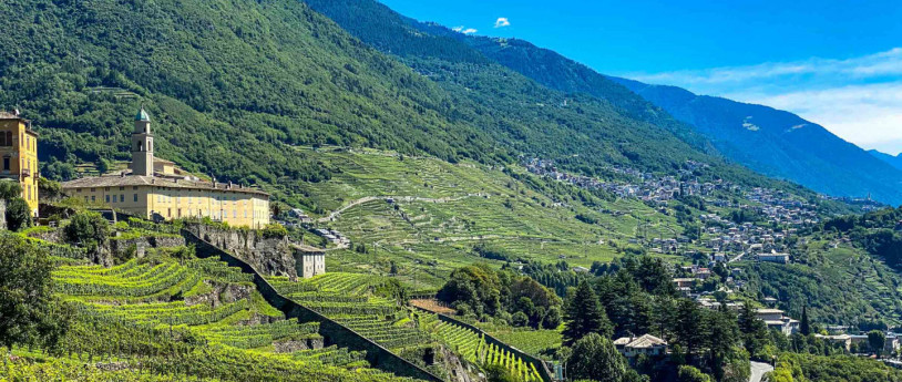 Wine Bike Tour 5 - Frazioni Wine Bike Tour 5 - Frazioni
