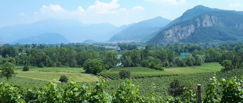 FranciacortaSlow - Percorso Rosso - Vigneti-e-Torbiere_Corte-Franca - ph: Riccardo Ferrari