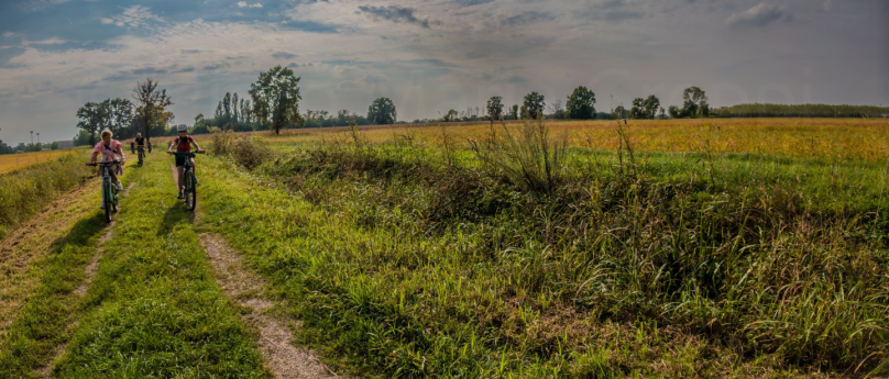 Un tour tra le campagne del pavese