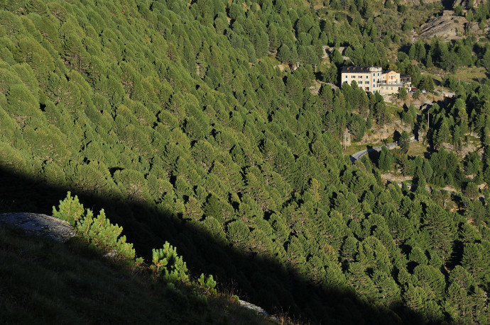 RIFUGIO FORNI